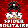 the spider solitaire