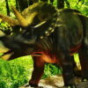 triceratops dinosaur puzzle