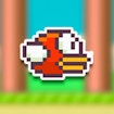 Flappy zangado